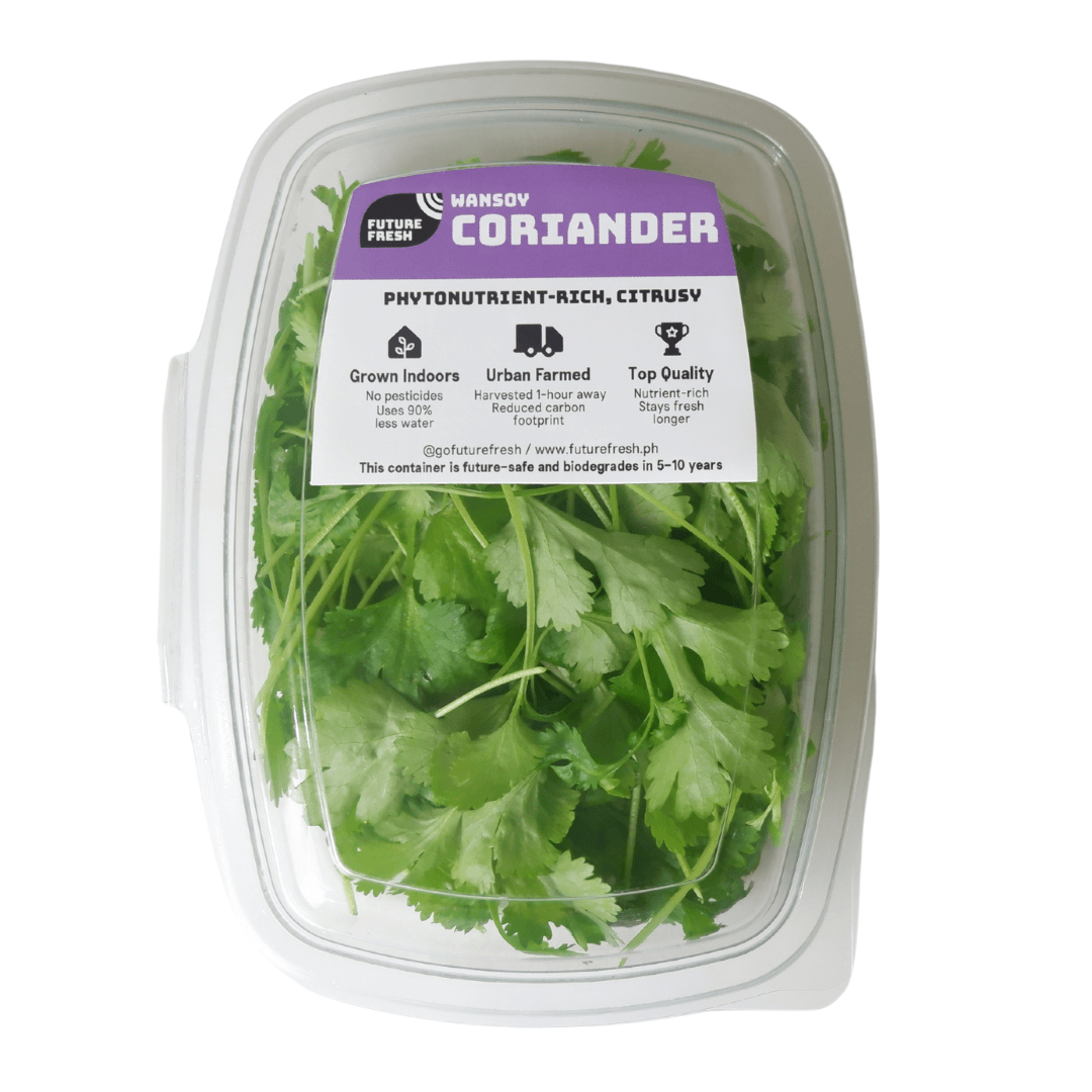 Future Fresh Coriander (Wansoy) Pacific Bay