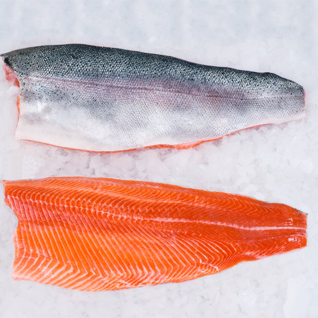 Pacific Bay Salmon Trout Fillet
