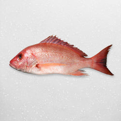 Red Snapper (Whole) - Pacific Bay