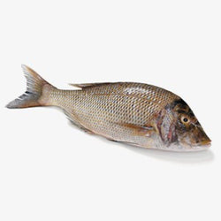 Emperor Fish (Whole) - Pacific Bay
