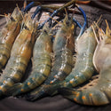 Fresh Water Head On Shrimp (Ulang) - Pacific Bay