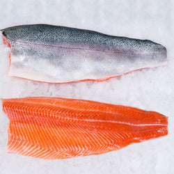 Salmon Trout Fillet - Pacific Bay