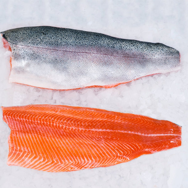 Salmon Trout Fillet - Pacific Bay