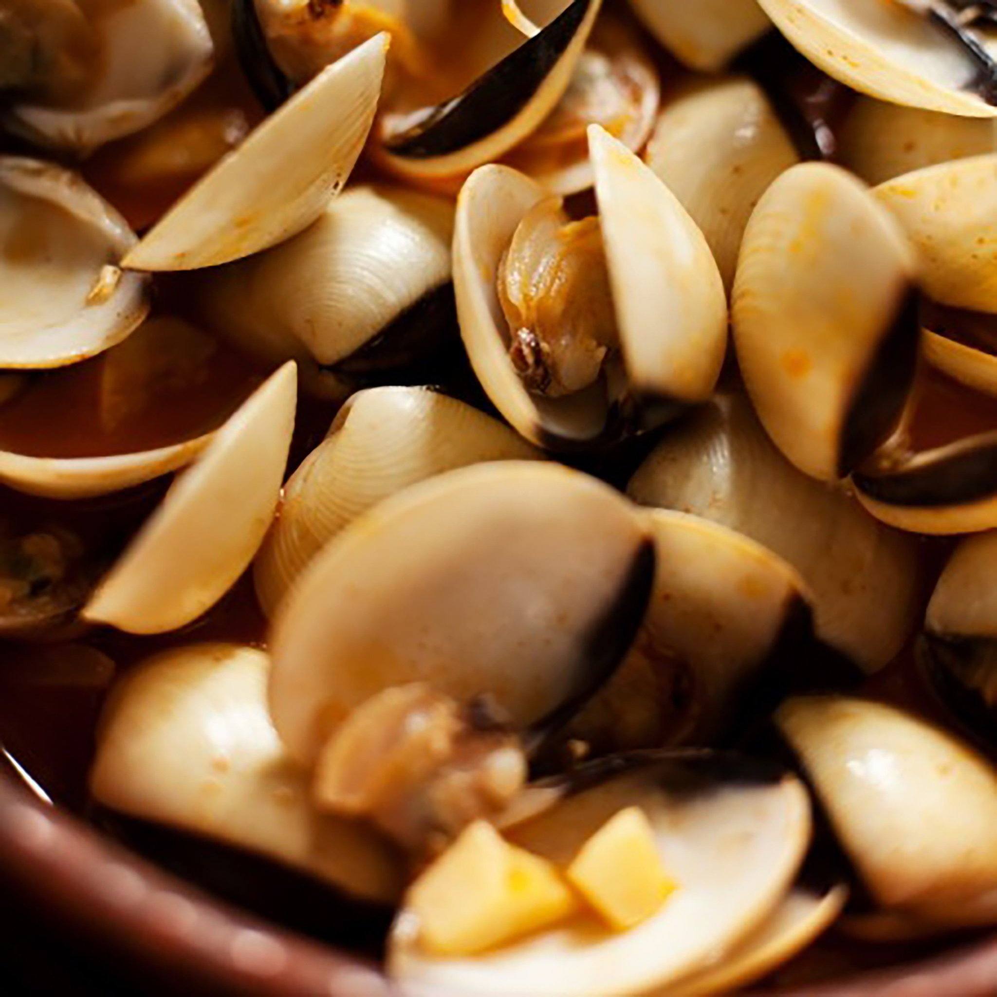 White Clams Pacific Bay