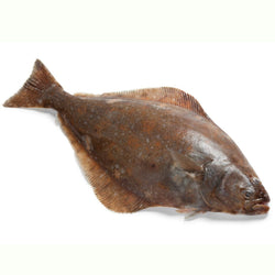 Whole Greenland Halibut - Pacific Bay