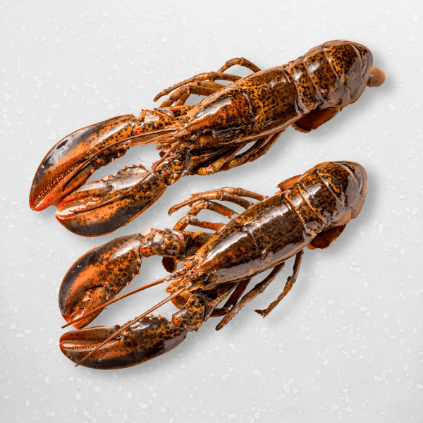 Whole Raw Boston Lobster - Pacific Bay