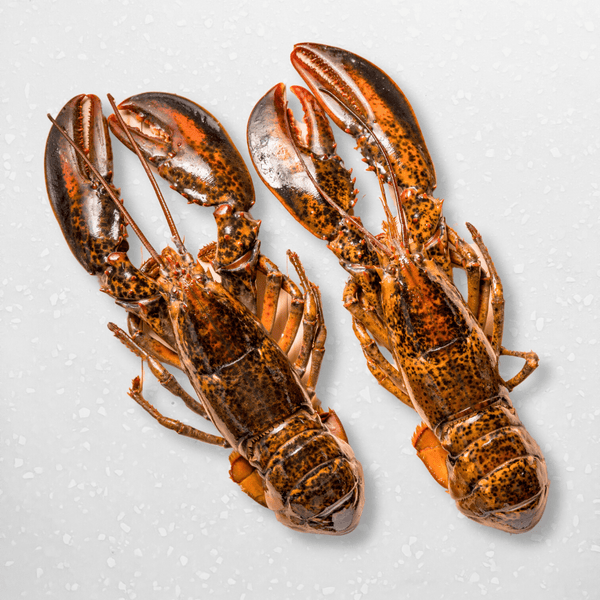 Whole Raw Boston Lobster - Pacific Bay